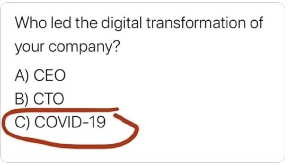 Who led the digital transformation of your company?